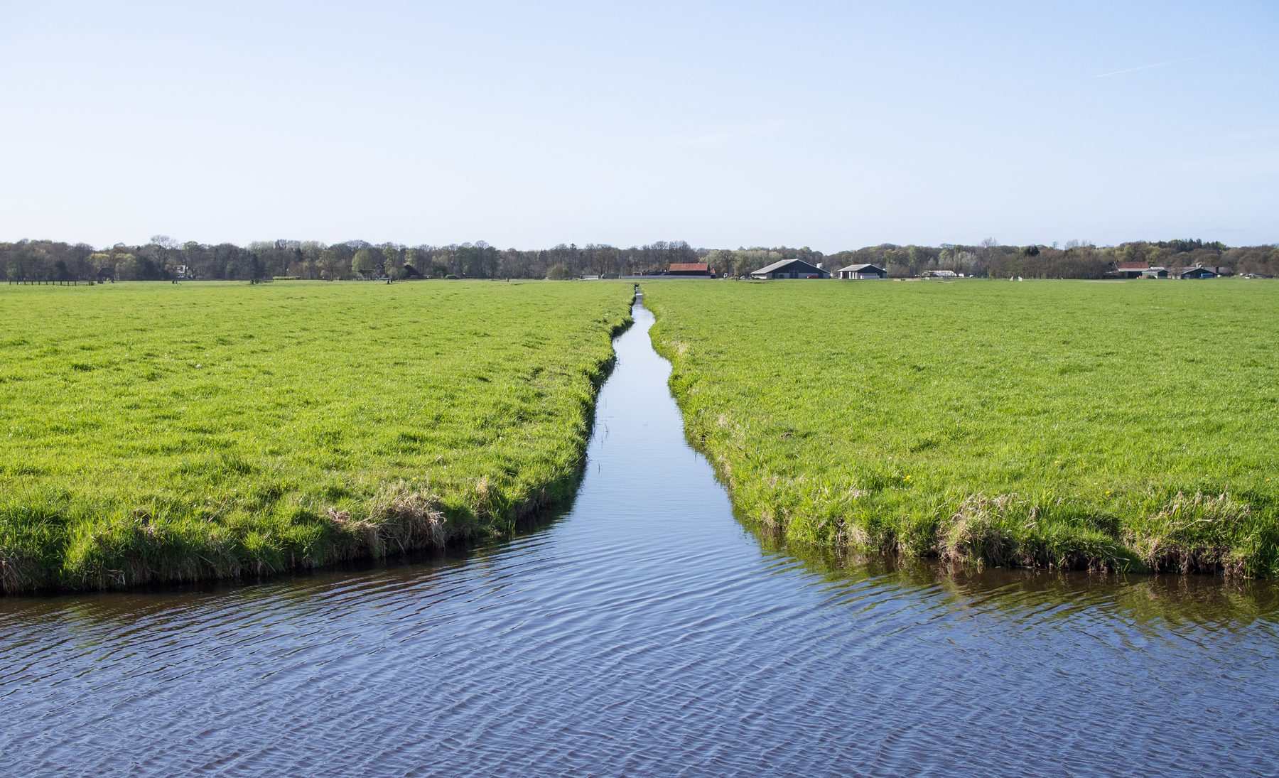 Nederlands boerenlandschap