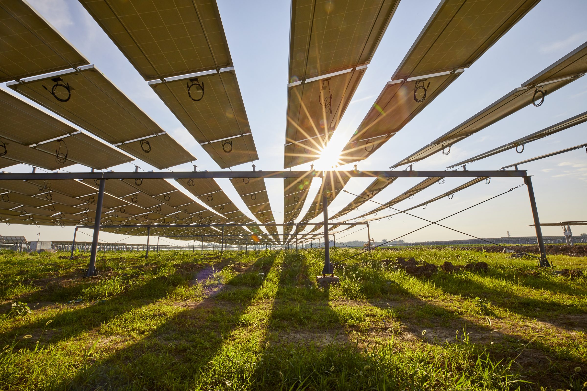 Zonnepanelen op hoge stellages boven agrarisch grasland